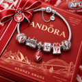 SNSW Silver Charm Bracelet Set PTT