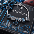 CRPT Silver Charm Bracelet Set PTT