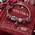 ARCD Silver Charm Bracelet Set PTT