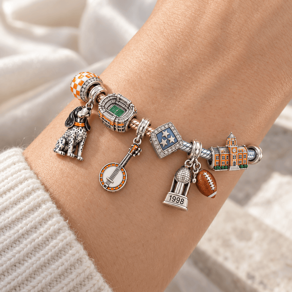 TVF Silver Charm Bracelet Set PTKL