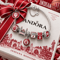 IDH Silver Charm Bracelet Set PTT